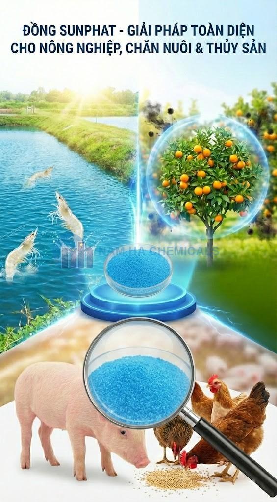 Đồng Sunphate - Copper Sulfate (CuSO4)