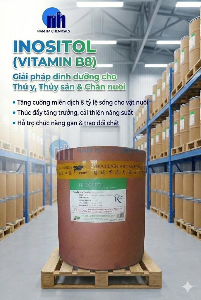 INOSITOL - Vitamin B8