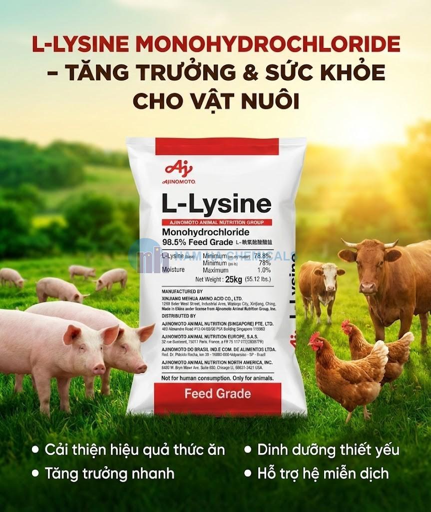 L-LYSINE MONOHYDROCHLORIDE 98.5%