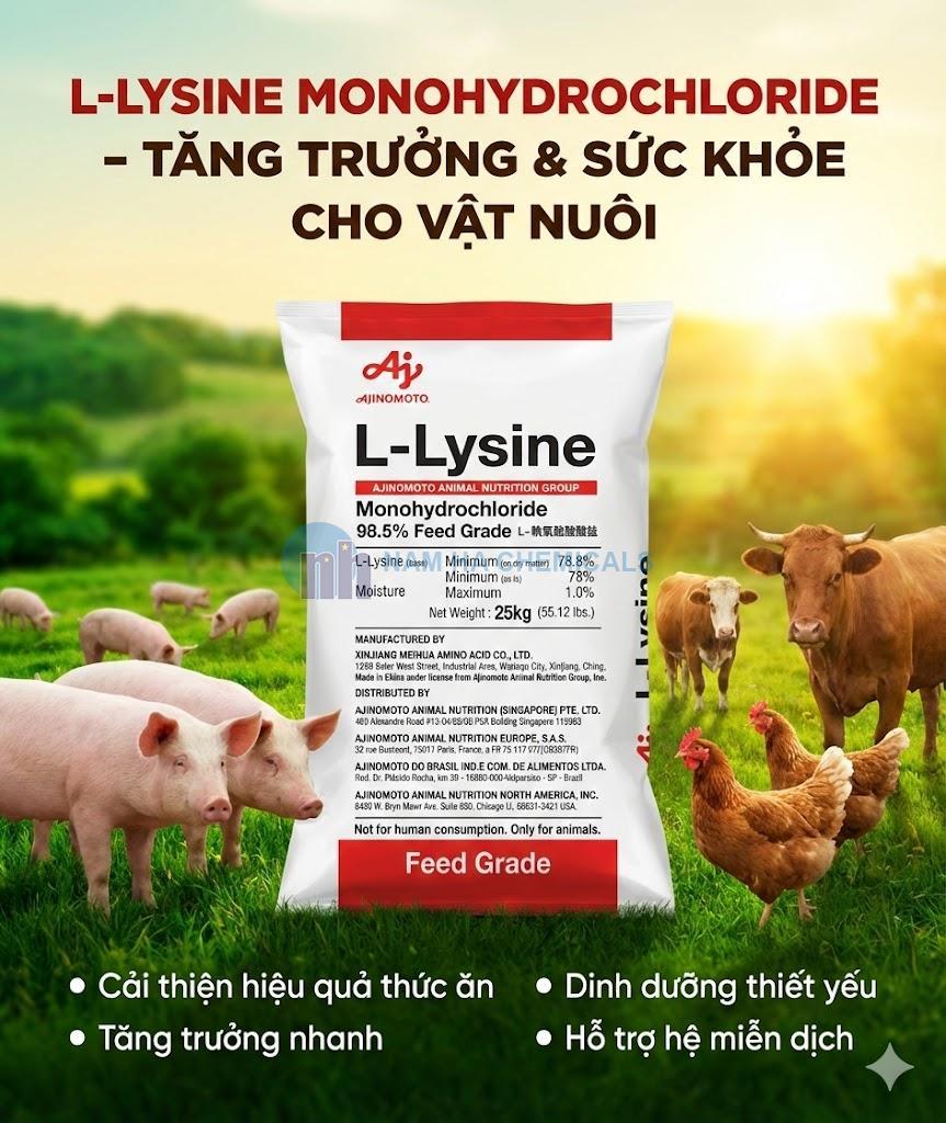 L-LYSINE MONOHYDROCHLORIDE 98.5%
