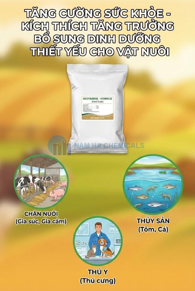NICOTINAMIDE - VITAMIN B3