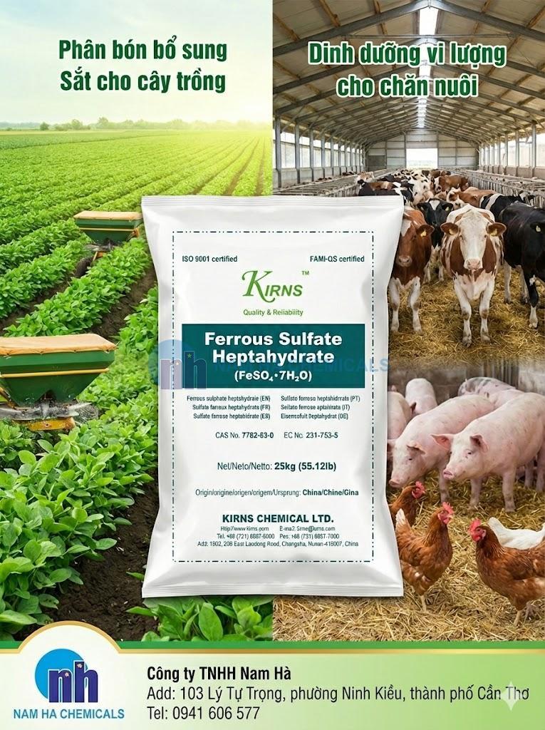 SẮT SUNPHAT (FeSO4)