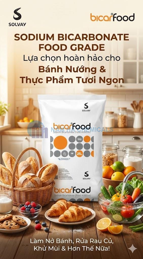 SODIUM BICARBONATE - NATRI BICACBONAT (NaHCO3)