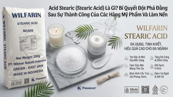 Acid Stearic (Stearic Acid) Là Gì? Bí Quyết Đột Phá Đằng Sau Sự Thành Công Của Các Hãng Mỹ Phẩm Và Làm Nến