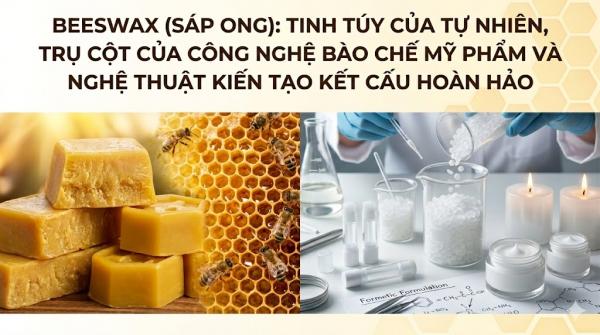 Beeswax (Sáp Ong): Tinh Túy Của Tự Nhiên, Trụ Cột Của Công Nghệ Bào Chế Mỹ Phẩm Và Nghệ Thuật Kiến Tạo Kết Cấu Hoàn Hảo