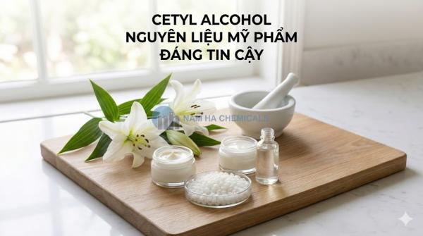 Cetyl Alcohol (Cồn Béo): Giải Mã 