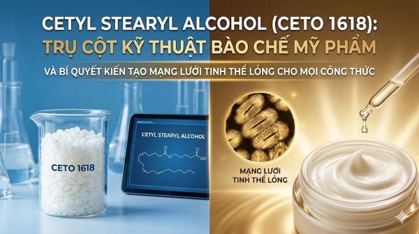 Cetyl Stearyl Alcohol (Ceto 1618): Trụ Cột Kỹ Thuật Bào Chế Mỹ Phẩm Và Bí Quyết Kiến Tạo Mạng Lưới Tinh Thể Lỏng Cho Mọi Công Thức