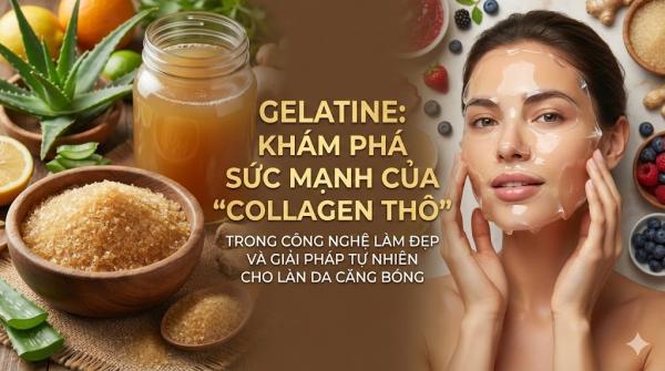 Gelatine: Khám Phá Sức Mạnh Của 