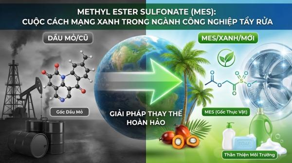Methyl Ester Sulfonate (MES): Cuộc Cách Mạng Xanh Trong Ngành Công Nghiệp Tẩy Rửa Và Giải Pháp Thay Thế Hoàn Hảo Cho Các Hoạt Chất Gốc Dầu Mỏ