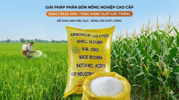 Phân Bón Ammonium Chloride (NH4Cl): 