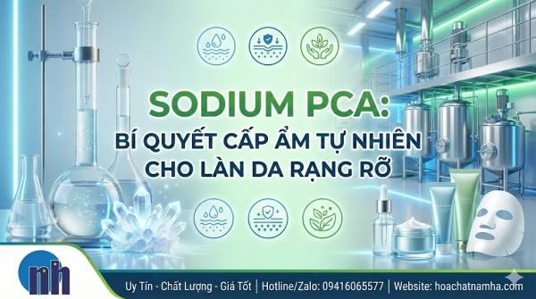 Sodium PCA (Ajidew NL-50): Giải Mã Bí Mật Của Yếu Tố Giữ Ẩm Tự Nhiên (NMF) Và Cuộc Cách Mạng 