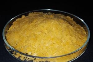 Carnauba Wax (Sáp Carnauba)