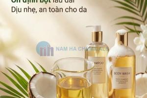 COCO DIETHANOLAMIDE (CDE)