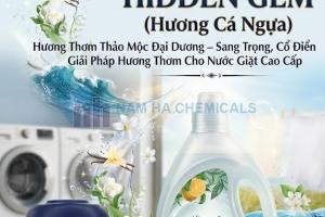 HIDDEN GEM - HƯƠNG CÁ NGỰA