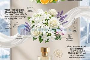 Hoa Nhài (Lài) - Jasmine