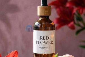 Hoa Ly - Red Flower