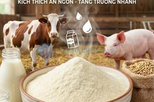 HƯƠNG SỮA BỘT