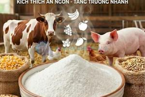 HƯƠNG TRÁI CÂY