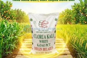 Kali Clorua - Potassium Chloride (KCL)