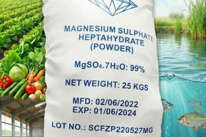 Magnesium Sulfate (MgSO4)