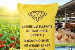 Magnesium Sulfate (MgSO4)