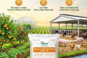 MANGAN SUNPHAT (MnSO4)