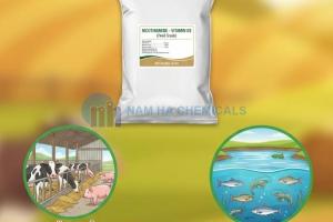 NICOTINAMIDE - VITAMIN B3