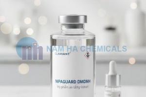 Nipaguard DMDMH (Clariant)