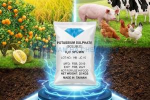 POTASSIUM SULFATE - KALI SUNPHAT (K2SO4)