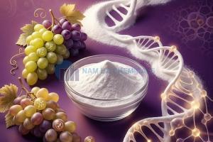Resveratrol Tinh Khiết >98%