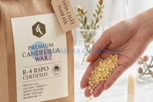 Sáp Candellila (Synthetic Candelilla Wax)