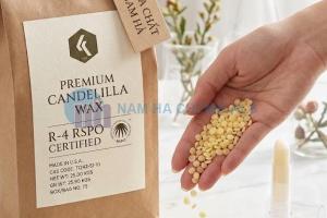 Sáp Candellila (Synthetic Candelilla Wax)
