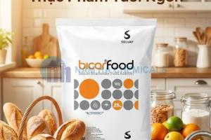 SODIUM BICARBONATE - NATRI BICACBONAT (NaHCO3)