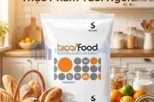 SODIUM BICARBONATE - NATRI BICACBONAT (NaHCO3)