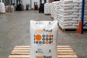 SODIUM BICARBONATE - NATRI BICACBONAT (NaHCO3)