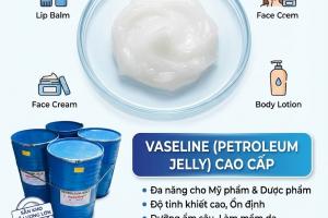 VASELINE (White Petroleum Jelly)