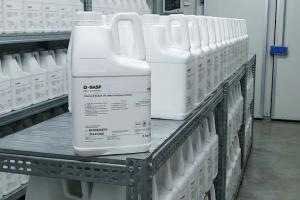 VITAMIN E – ACETATE